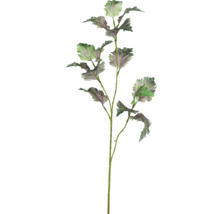 Umelá rastlina s listami