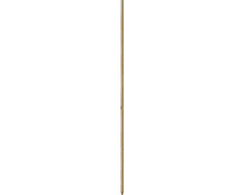 Kôl k stromu Robinie 2,2x 2,2x 175 cm Bambusová tyč
