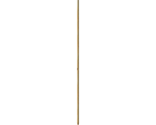 Kôl k stromu Robinie 2,2x 2,2x 150 cm Bambusová rohož