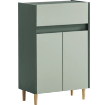 Skrinka na topánky s dvomi dvierkami a drevenými nožičkami