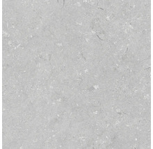 Keramická dlažba 60x60x2 cm Shellstone Grigio