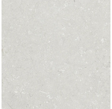 Keramická dlažba 60x60x2 cm Shellstone Bianco