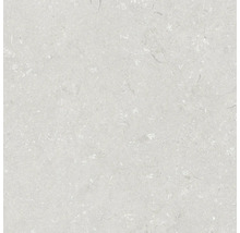 Keramická dlažba 60x60x2 cm Shellstone Bianco