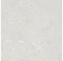 Keramická dlažba 60x60x2 cm Shellstone Bianco