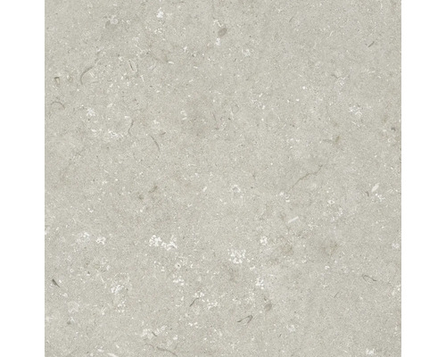 Keramická dlažba 60 x 60 x 2 cm Shellstone Taupe