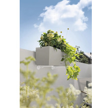 Sivý kvetináč s držiakom a rastlinami na stene.