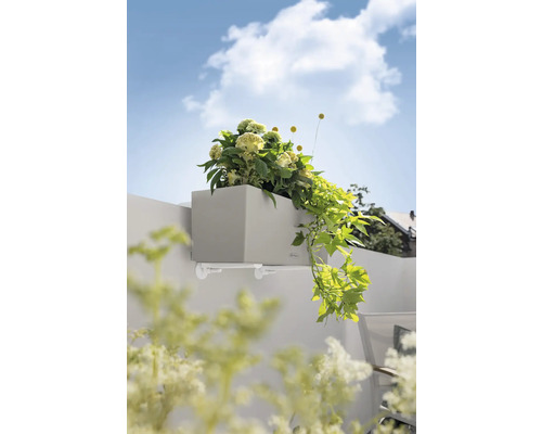 Sivý kvetináč s držiakom a rastlinami na stene.