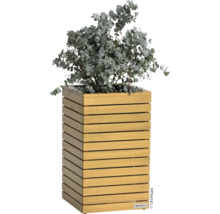 Drevený kvetináč s eukalyptom