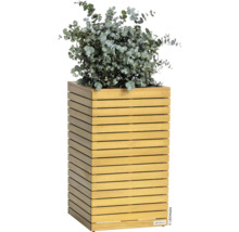 Drevený kvetináč s eukalyptom