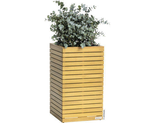 Drevený kvetináč s eukalyptom