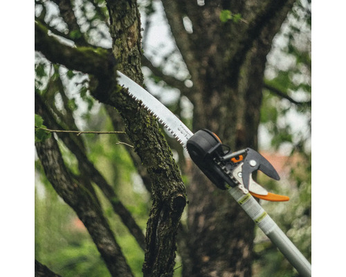 Nožnice na konáre strihajú konár stromu