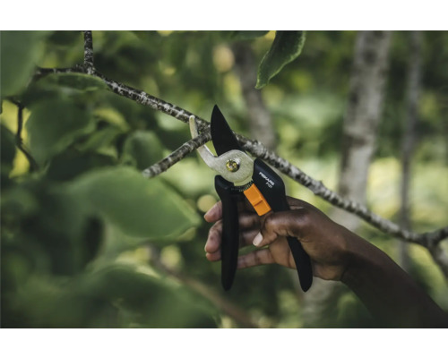 Ruka strihá konár záhradnými nožnicami Fiskars.