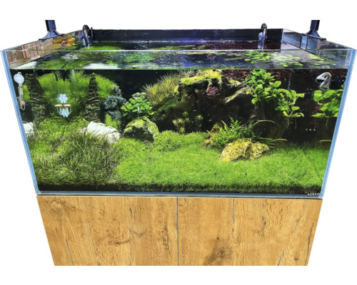 Akvárium so skrinkou, osadené vodnými rastlinami a zdobené kameňmi.