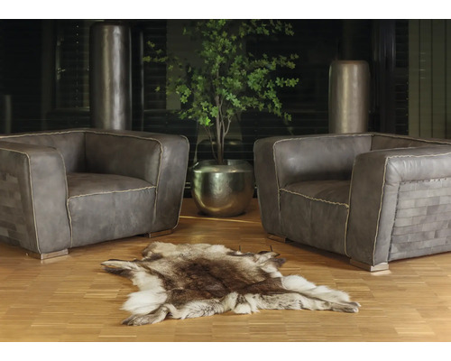 Obývacia izba s dvoma kreslami, kožušinovým kobercom a izbovou rastlinou