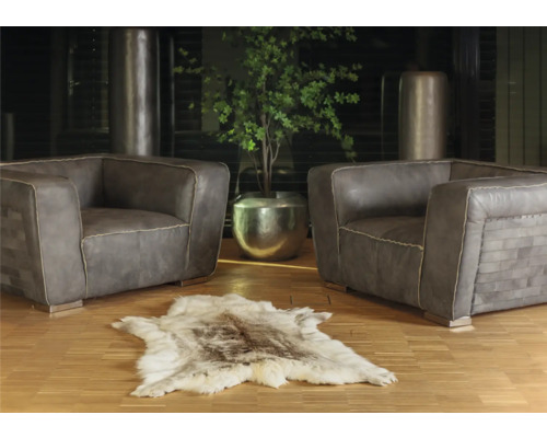 Dve kreslá s kožušinovým kobercom a rastlinou v striebornom kvetináči