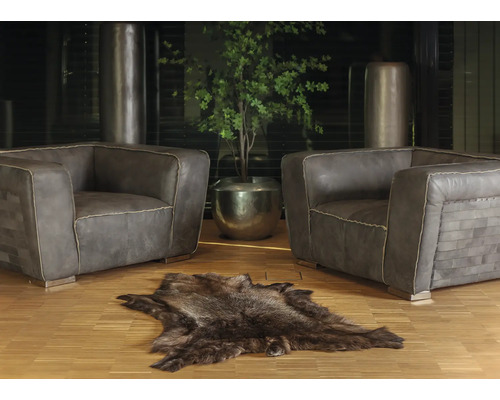 Obývacia izba s dvoma kreslami, kožušinovým kobercom a črepníkovou rastlinou