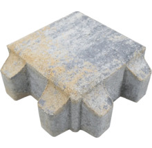 Jednotlivá dlažobná kocka