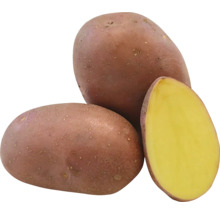 Tri červené zemiaky, jeden rozpolený