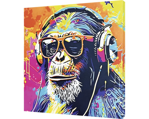 Obraz na plátne Cool Monkey 50 x 50 cm