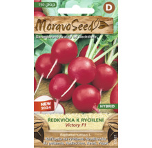 Balenie semien reďkovky značky Moravo Seed