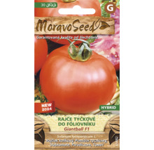 Balenie semien kolíkových paradajok Giantball F1