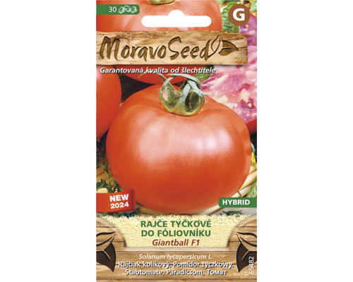 Balenie semien kolíkových paradajok Giantball F1