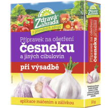 Balenie prípravku na ošetrenie cesnaku a iných cibuľovín v čase výsadby