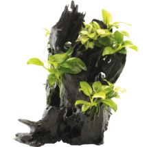 Dekorácia do akvária pník stromu so zelenými rastlinami