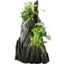 Dekorácia do akvária s rastlinou Anubias na drevenom koreni