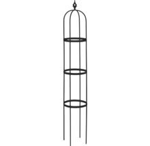 Kovová podpera pre popínavé rastliny do záhrady