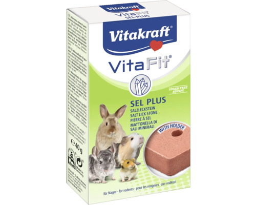 Soľ pre hlodavce Vitakraft Vita Fit 40 g