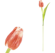 Jednotlivé kvety tulipánov pre interiér