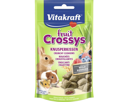 Maškrty pre hlodavce Vitakraft Fruit Crossys 45 g