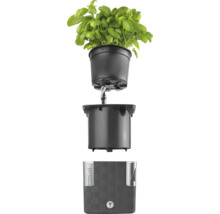 Samozavlažovací systém pre rastliny s ukazovateľom hladiny vody