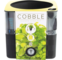 Šikovný kvetináč na bylinky Cobble na pestovanie byliniek