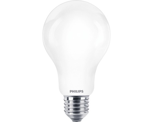 LED žiarovka Philips A67 E27 13W/120W 2700K 2000lm