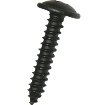 Skrutka s šošovkovou hlavou