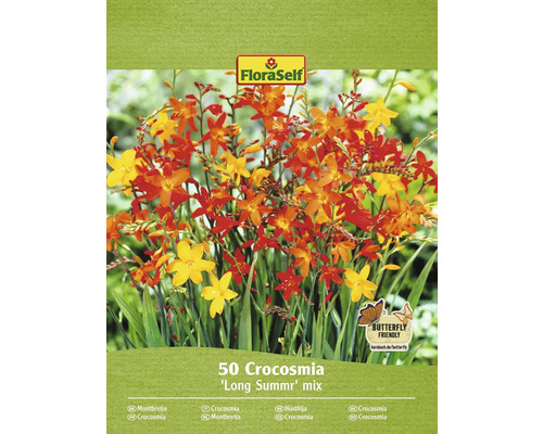 Montbrécia FloraSelf Crocosmia 'Long Summer' mix 50 ks