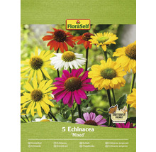 Balenie zmiešaných semien Echinacea