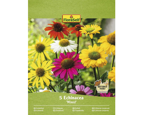 Echinacea FloraSelf Echinacea farebný mix 5 ks