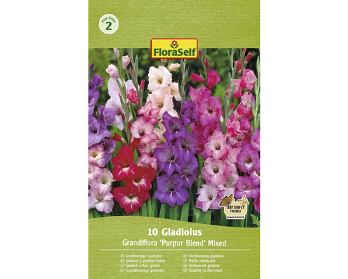 Mečíky FloraSelf 'Purple Blend' mix 10 ks