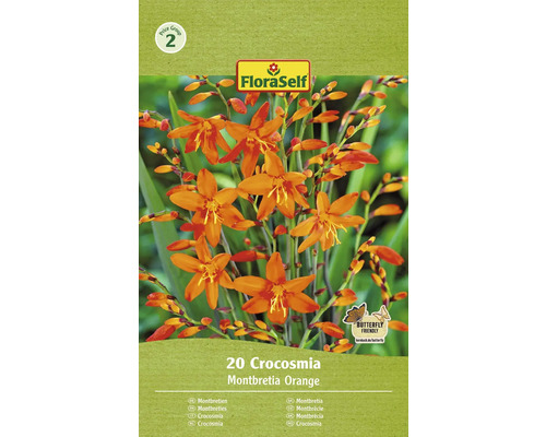 Montbrécia FloraSelf Crocosmia oranžová 20 ks