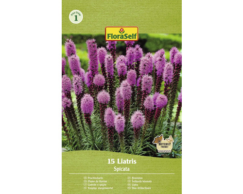 Šuškarda klasnatá FloraSelf Liatris spicata 15 ks