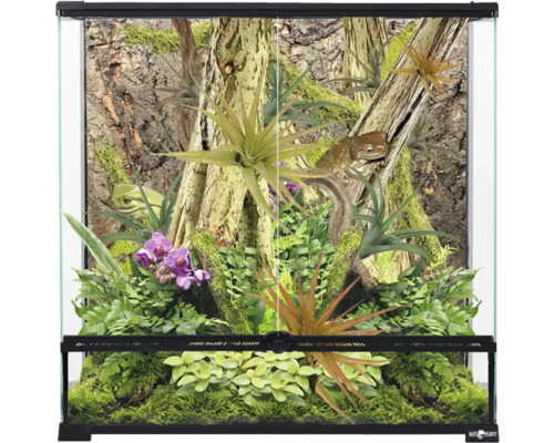 Terárium s rastlinami a žabami