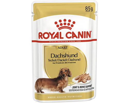 Kapsičky pre psov ROYAL CANIN Dachshund Adult 1 balenie 12x85 g Royal Canin Adult Dachshund krmivo pre psov, 85 gramov