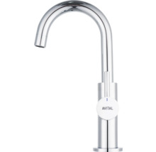 Kuchynská batéria Avital z kovu