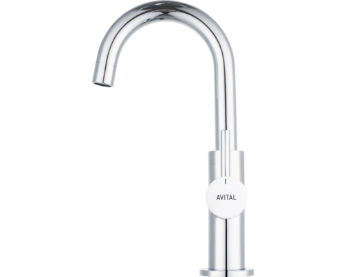 Kuchynská batéria Avital z kovu