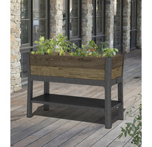 Vyvýšený záhon s rastlinami a úložným priestorom