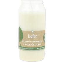 Sedemdňová olejová lampa z rastlinného vosku