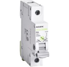 Iistič Noark 25 ampérov